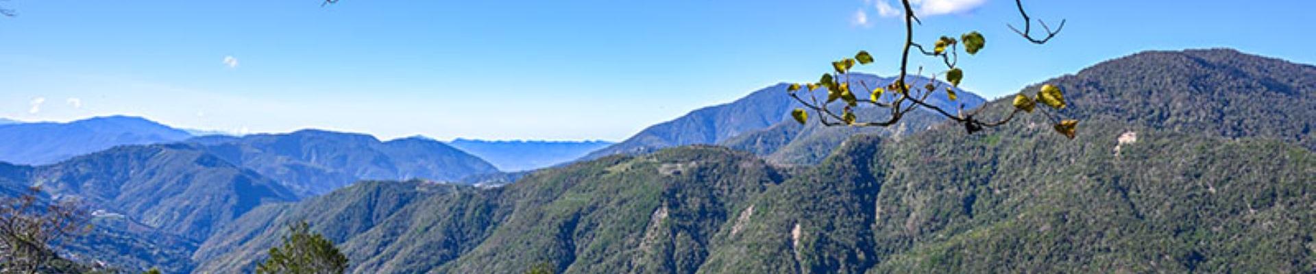 山