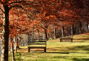 ⛰️ 【清境四季美景預報】與自然的絕美約定