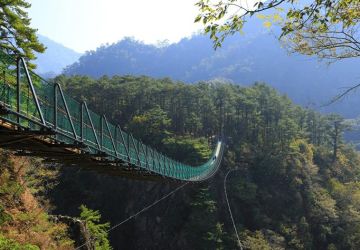 奧萬大森林浴